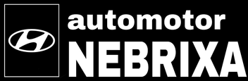 Automotor Nebrixa Hyundai